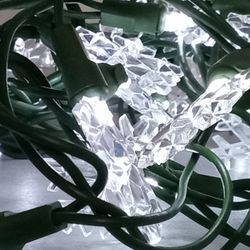 Christmas Lights 