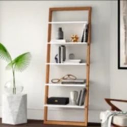 Bookcase ladder 