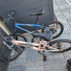 Youth Bicycles Boy And Girl