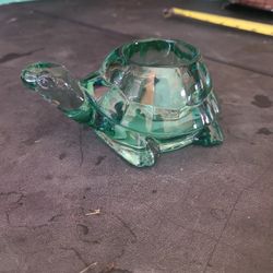 Glass Turltle 