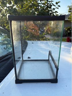 Small Reptile Aquarium