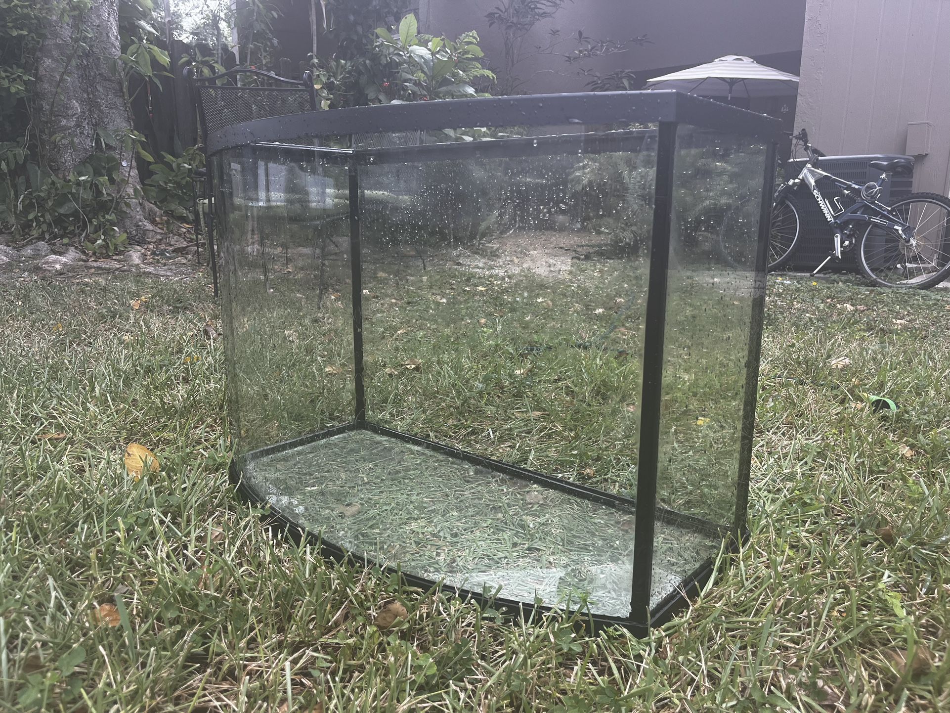 Beautiful 36 Gallon bow front Aquarium