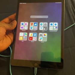 iPad 