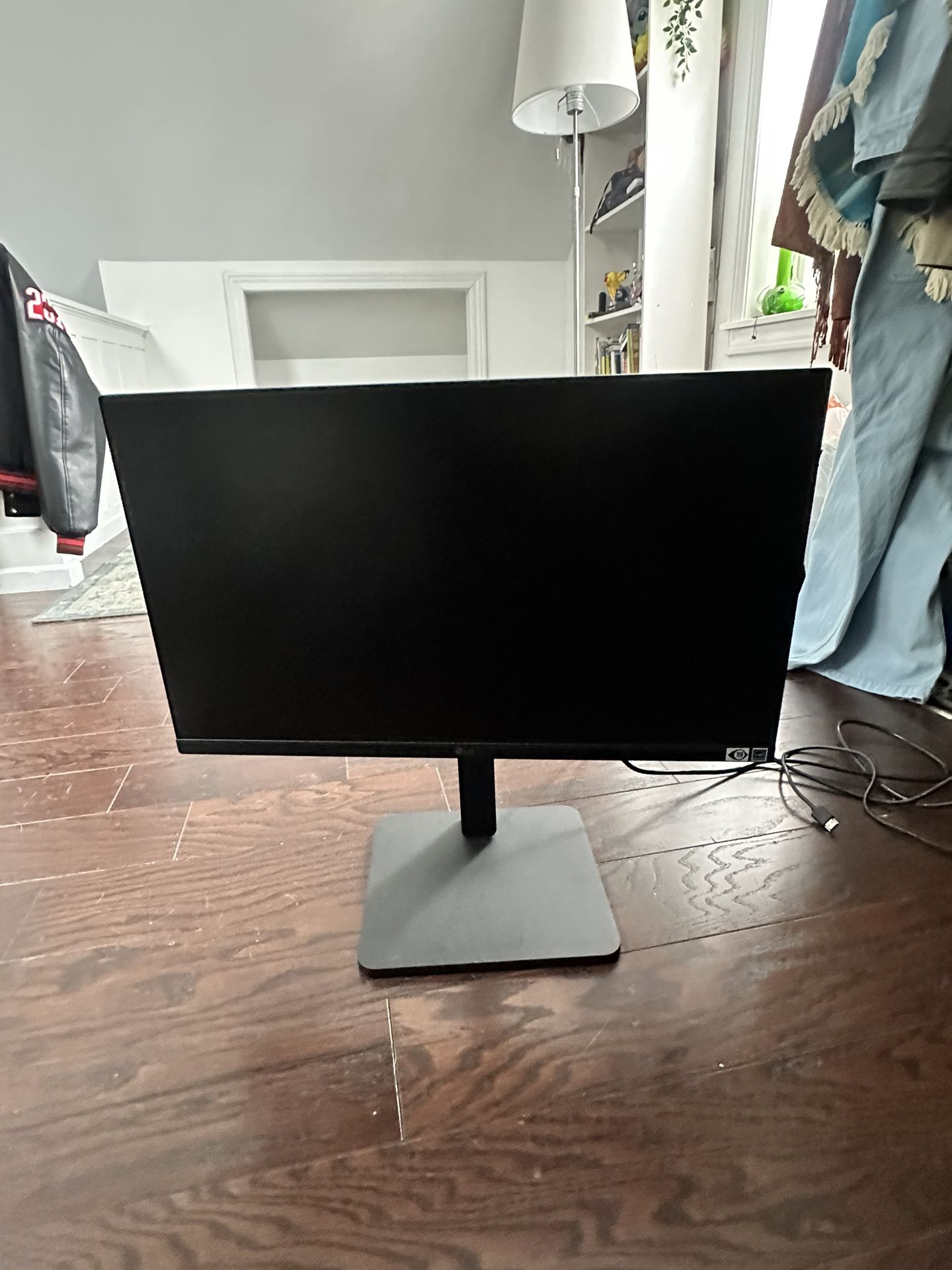 Computer Monitor 