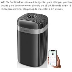 Air Purifiers 