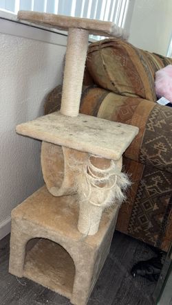 Well Loved Cat Tree