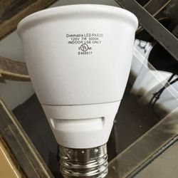 Bulbs