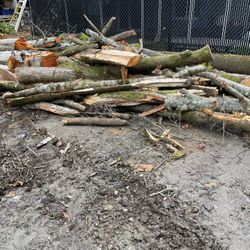 Firewood 
