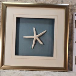 Starfish Wall Art