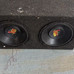 Dei Pro 10 Inch Subs With Box