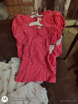 Cat and jack kids dresses