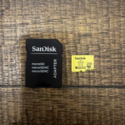 256gb Nintendo Switch SanDisk sd card.