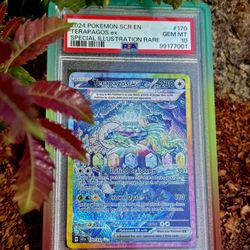 Terapagos ex 