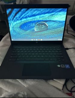 HB Chromebook