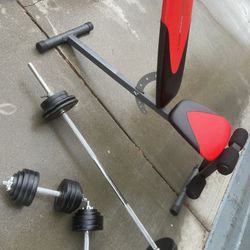 Weights And Bench 