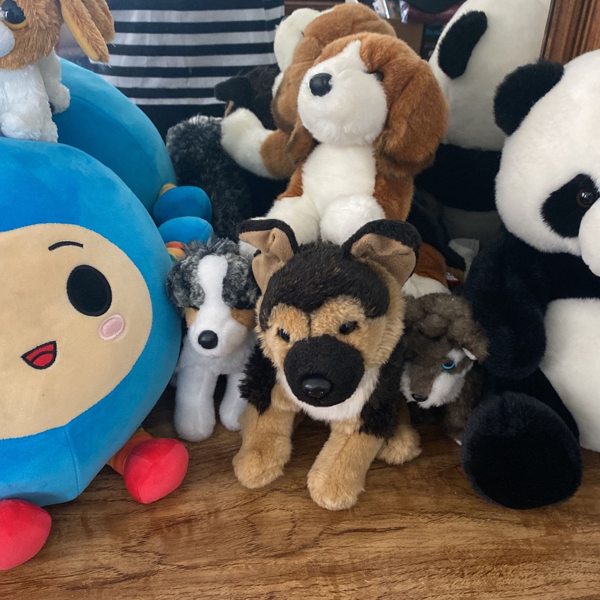 Free Stuff Animals