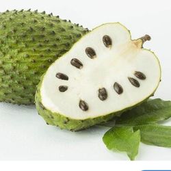 soursop plant