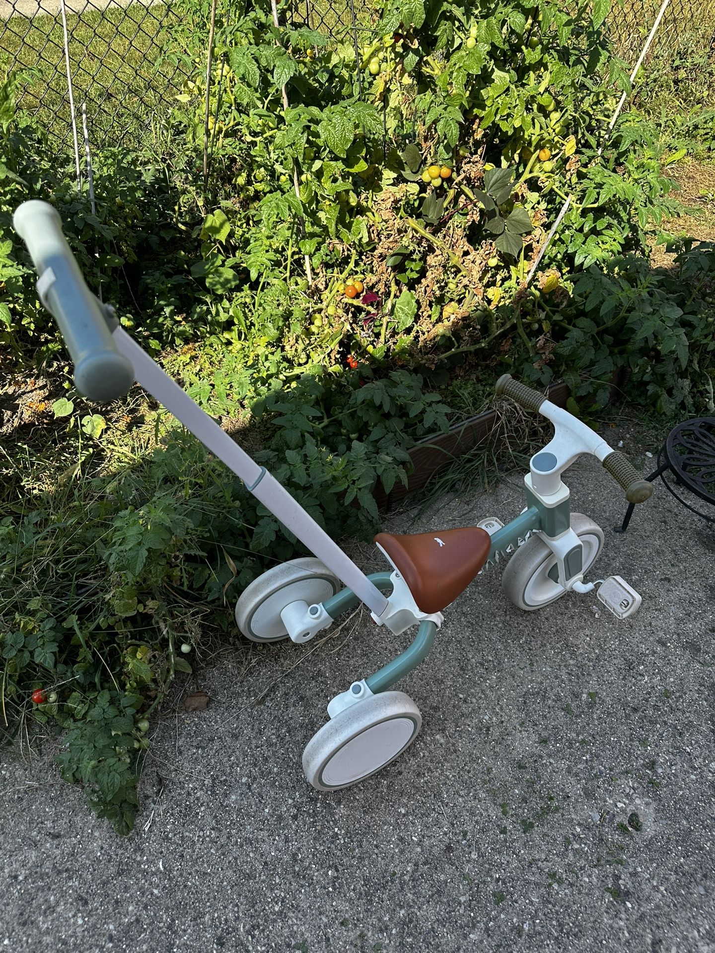 Lightweight Bike