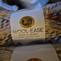Wool-ease Thick And Quick  Needle 