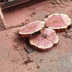 Wood Slices And Slabs And More 