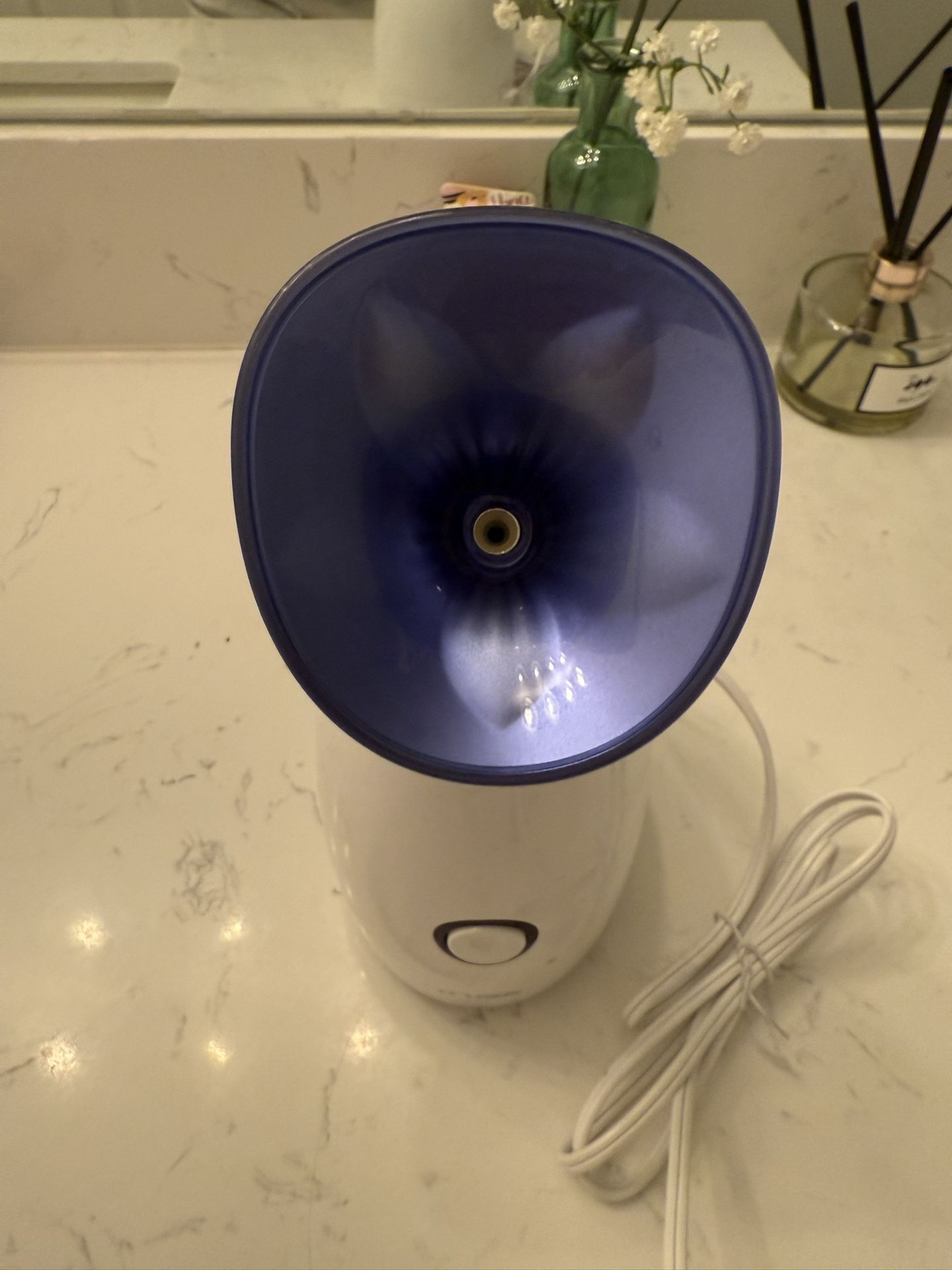 🌬️ EC VISION Ionic Facial Steamer – Spa Experience at Home! 💆♀️