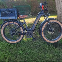Electric bike