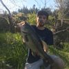 Brandon
