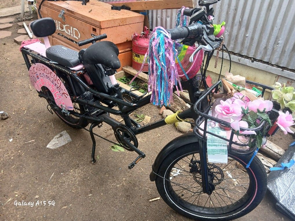 Electric Bike