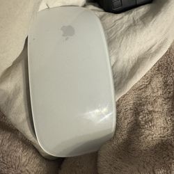 Mouse 