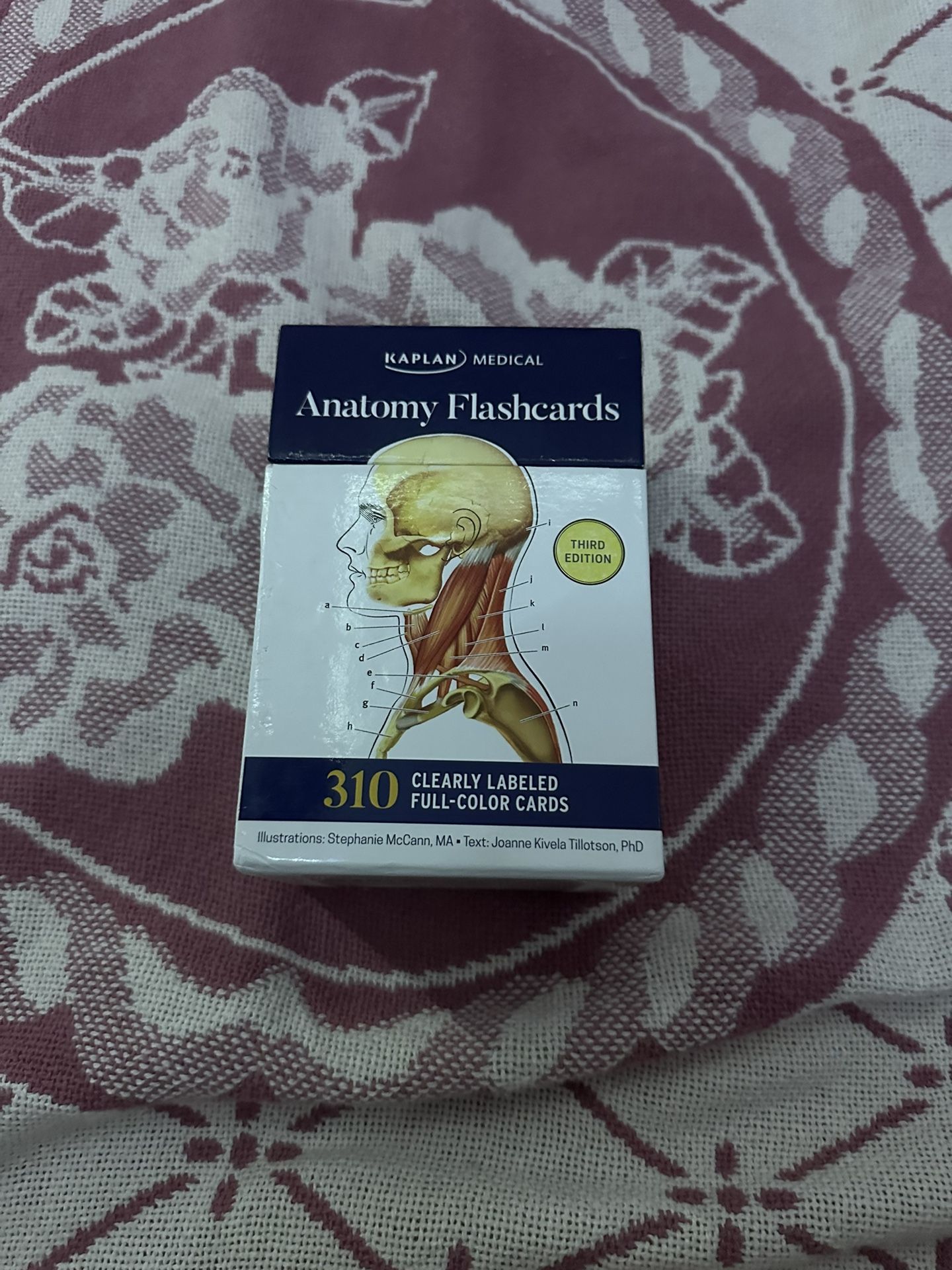 Anatomy Flash Cards 
