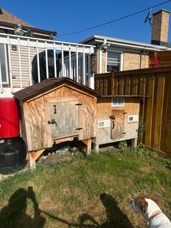 Wooden Backyard Chicken Coop