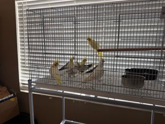 Cage stand