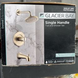 Glacier Bay Single Handle. Shower