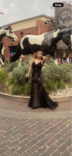 Formal black/ nude dress
