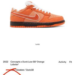 Orange Lobster CONCEPT Dunks 