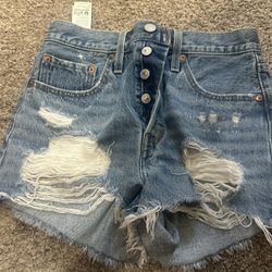 Women’s Shorts