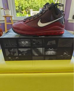 Lebron size 12