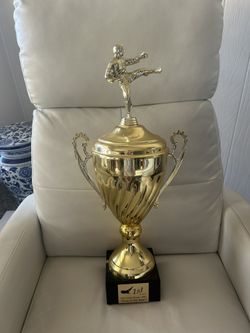 Large Karate Trophy 