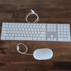 Apple A1243 USB Keyboard  + A1152 USB Mouse 