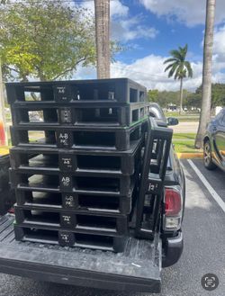 Plastic Palets