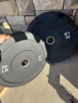 35 lb gym plates
