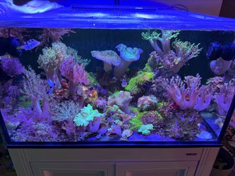 Aquarium reef decorations