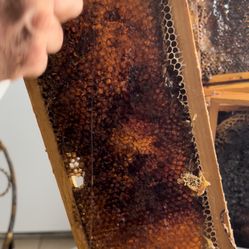 MIEL 🍯 HONEY 100% NATURAL  