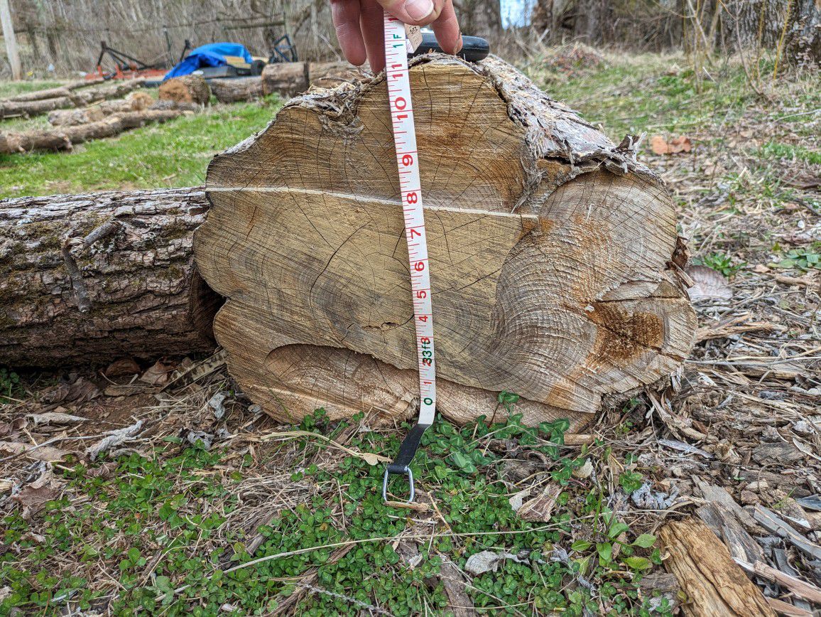 Cedar Log 30' Long