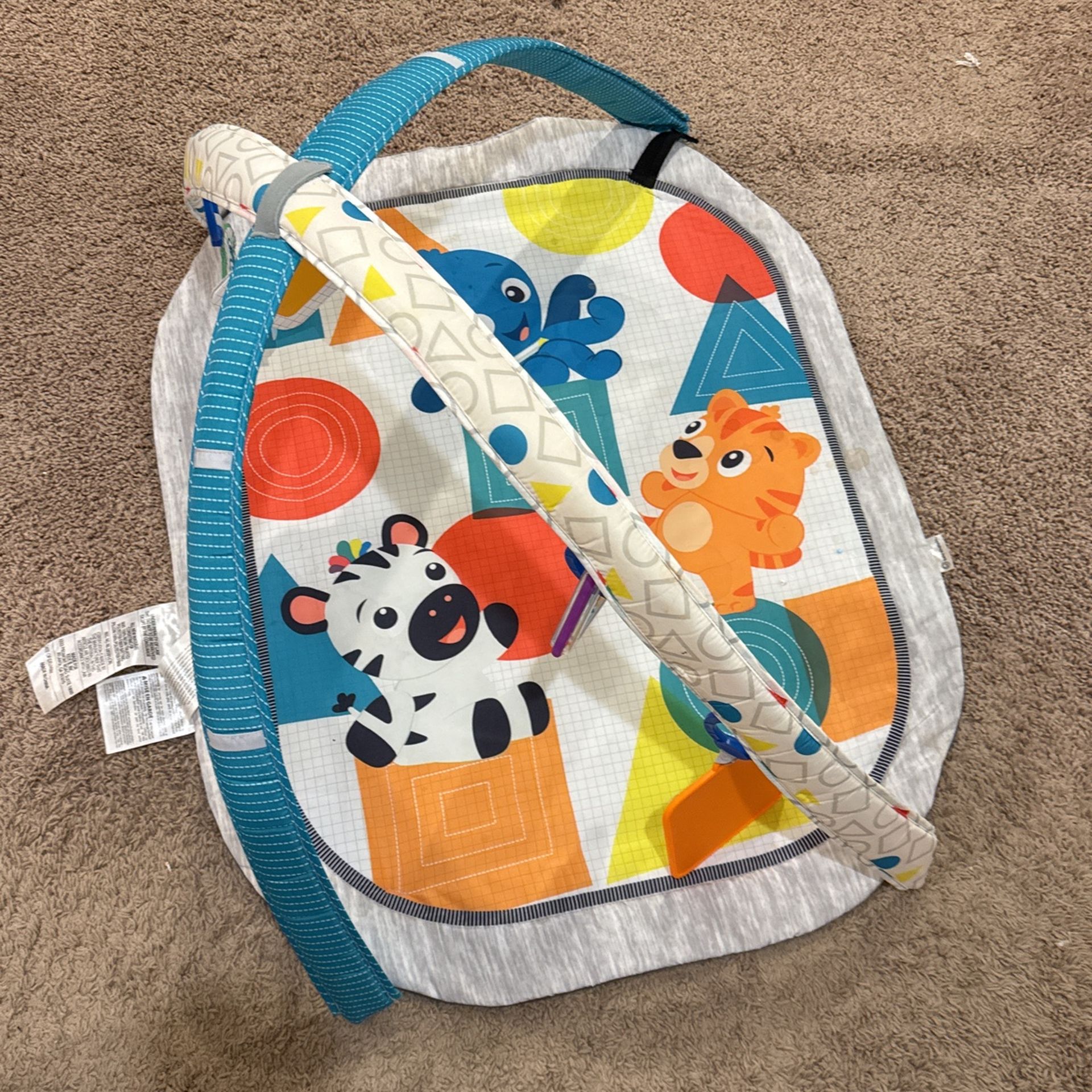 Baby Playmat