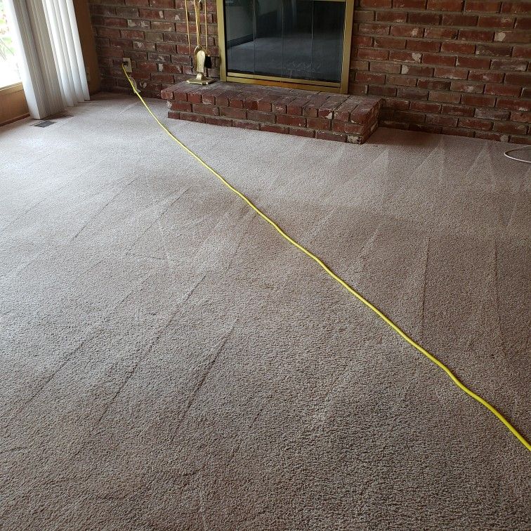 Carpet
