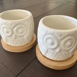 Owl Planter Pots-windowsill NEW 3”