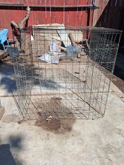Rascaderos/chicken scratching cages