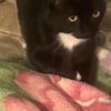 Pili