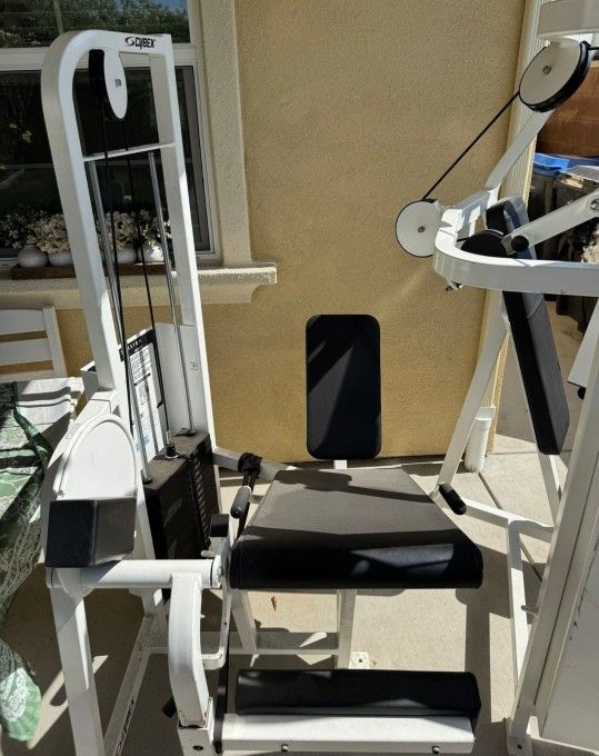 Cybex Leg Extension Gym Equipment Exercise Fitness Weight Machine Workout Lifting Exercise